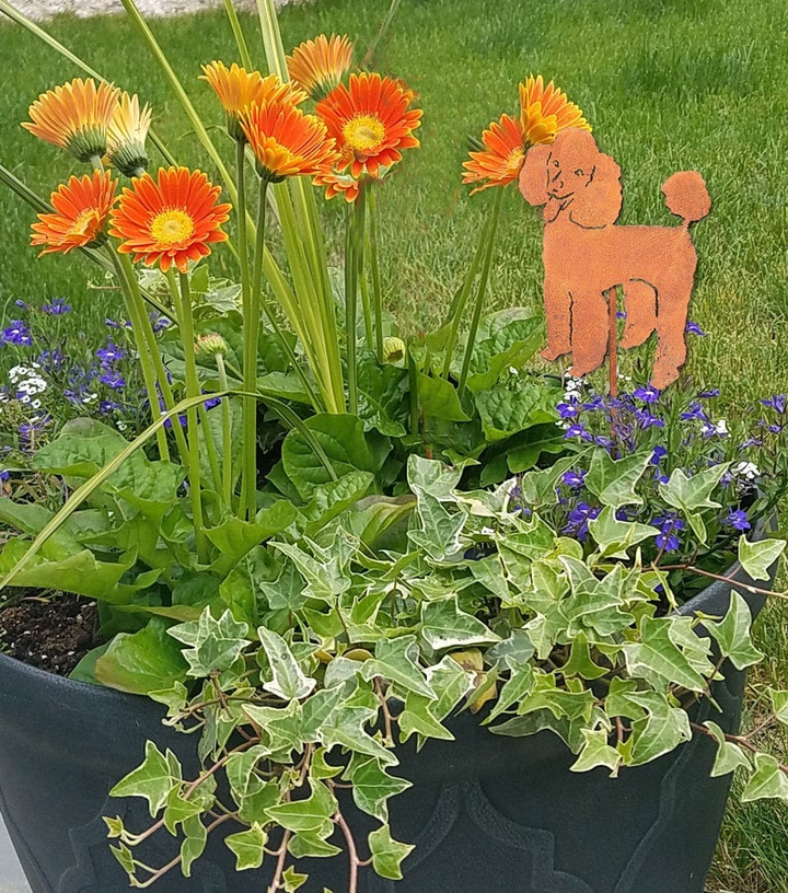 Poodle Plant Stake / Dog Memorial