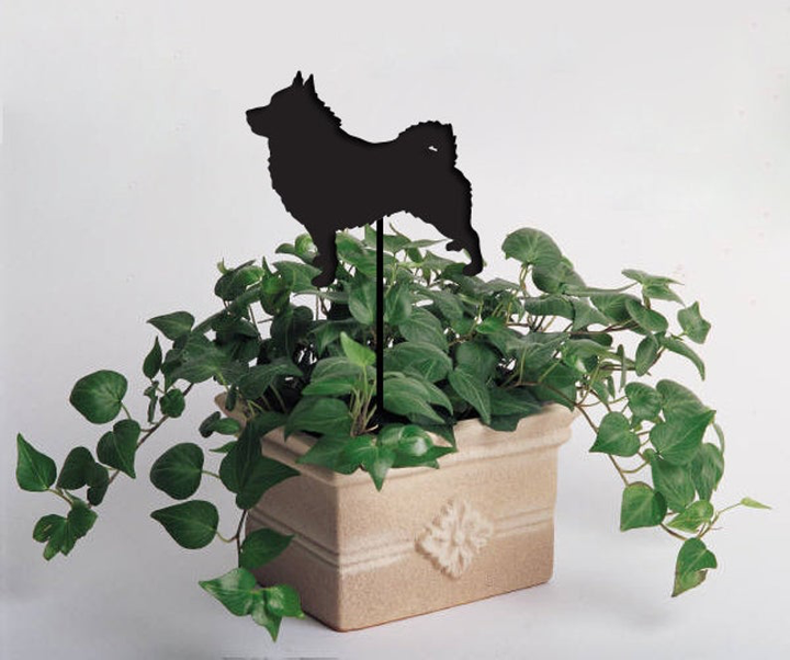 Schipperke Plant Stake