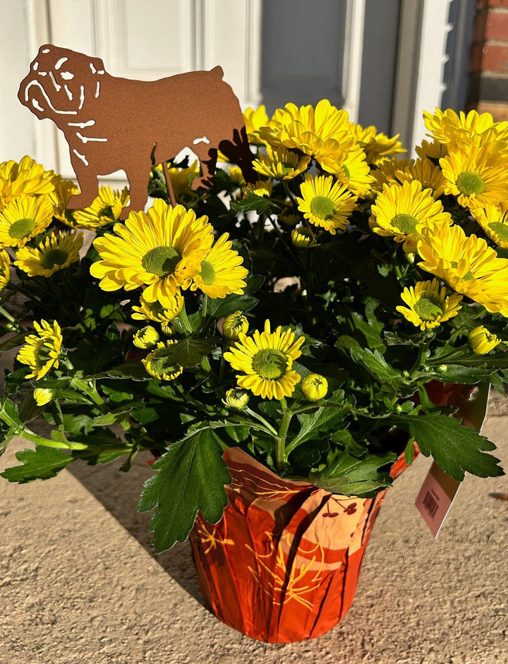 Bulldog Ornament or Plant Stake