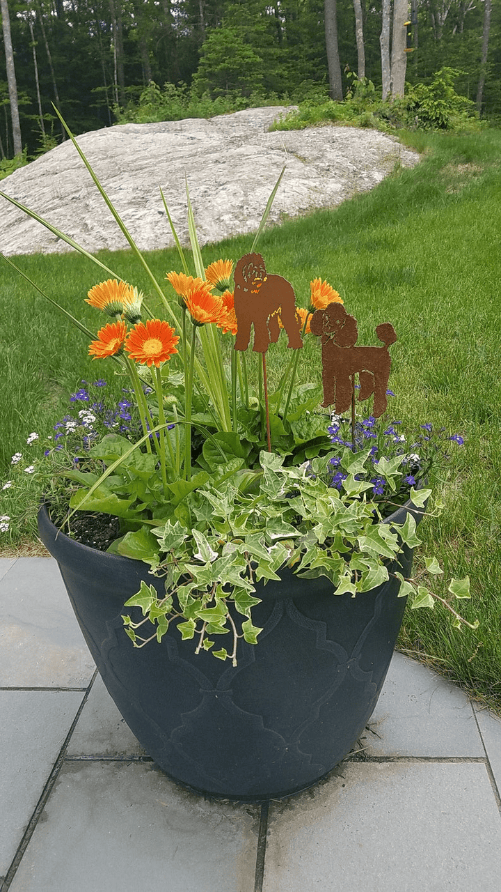 Labradoodle Plant Stake / Decorative Plant Marker