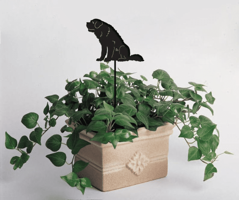 St. Bernard Plant Stake