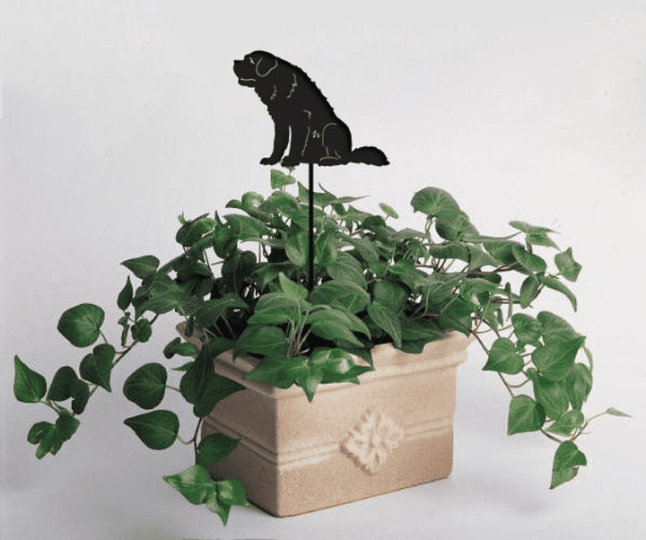 St. Bernard Plant Stake