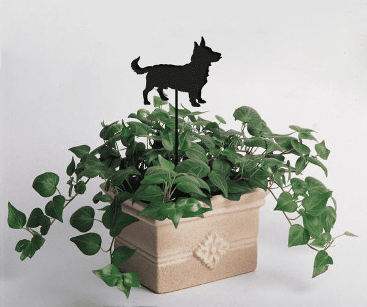 Lancashire Heeler Plant Stake