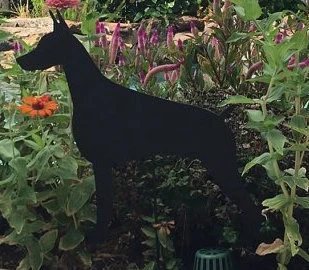 Doberman Pinscher Garden Stake or Wall Hanging (Style 1)