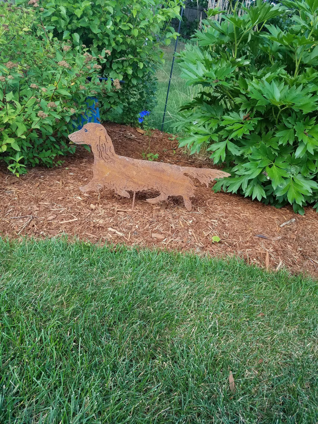 Long Haired Dachshund Statue or Dog Wall Art