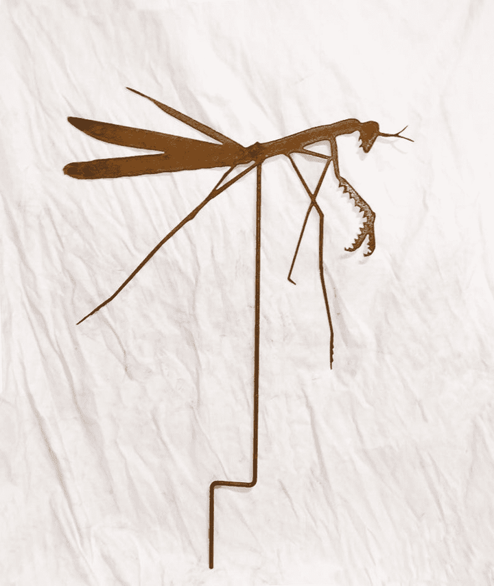 Praying Mantis Garden Stake