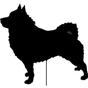 Schipperke Garden Stake or Wall Hanging