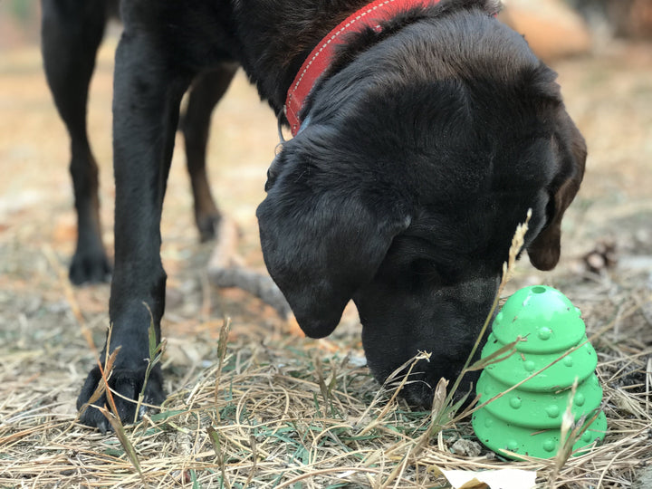 Christmas Tree Dog Toy - Durable Rubber Chew Toy for Large Dogs | USA Made