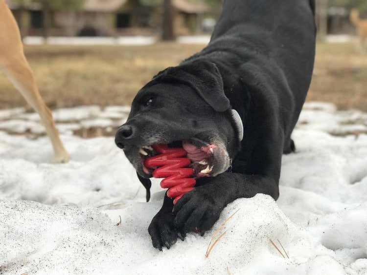 Christmas Tree Nylon Dog Chew Toy for Aggressive Chewers | USA Made &amp; FDA Compliant