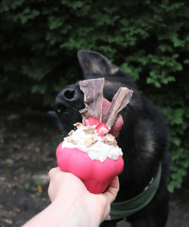 Cupcake eDispenser - Durable Rubber Chew Toy &amp; Treat Dispenser | USA Made