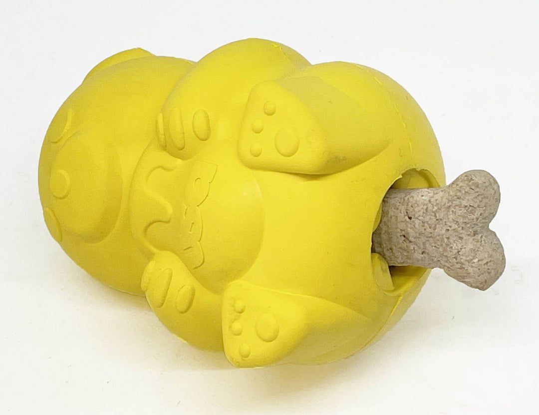 Honey Bear eDispenser - Durable Rubber Treat Dispenser for Dogs | USA Made