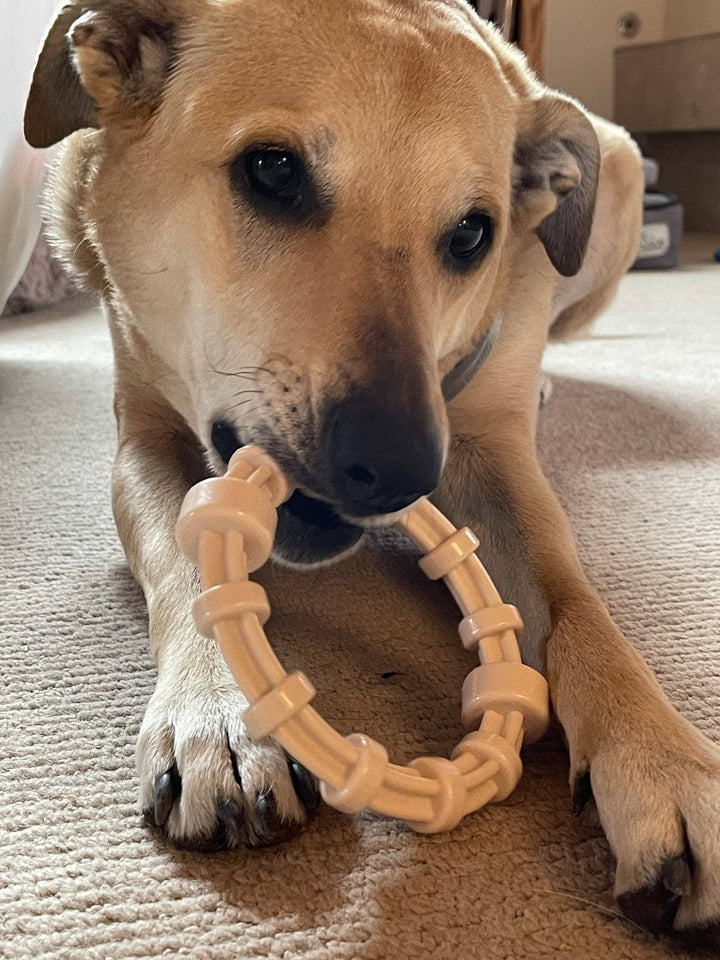 Chicken Flavored Teething Ring for Puppies &amp; Aggressive Chewers | USA Made