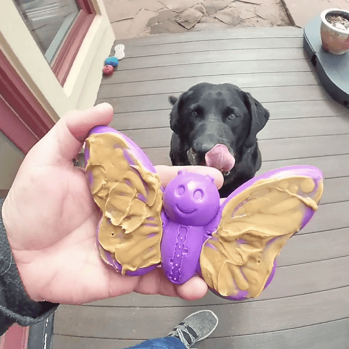 Butterfly Nylon Chew &amp; Enrichment Toy | 2-in-1 for Aggressive Chewers | SodaPup