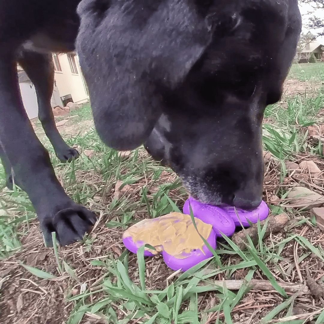 Butterfly Nylon Chew &amp; Enrichment Toy | 2-in-1 for Aggressive Chewers | SodaPup