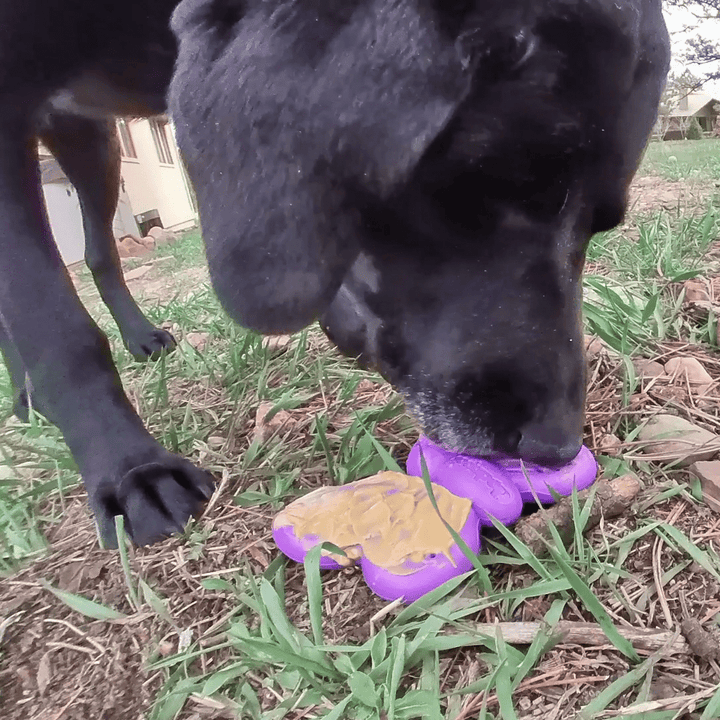 Butterfly Nylon Chew &amp; Enrichment Toy | 2-in-1 for Aggressive Chewers | SodaPup