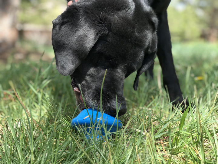 Flying Saucer Dog Toy - Durable UFO Chew Toy &amp; Treat Dispenser | USA Made