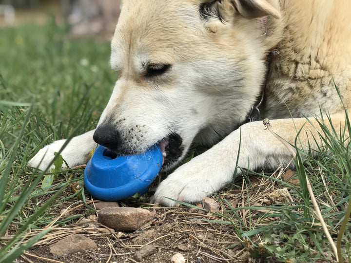 Flying Saucer Dog Toy - Durable UFO Chew Toy &amp; Treat Dispenser | USA Made