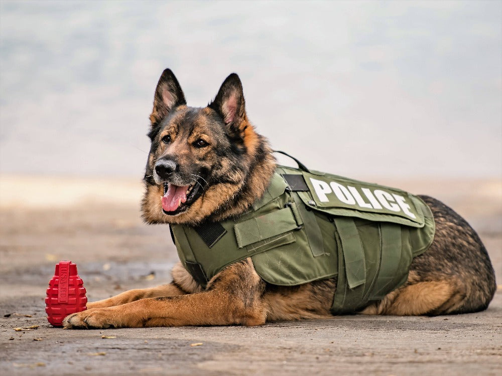 USA-K9 Grenade Rubber Dog Chew Toy | K9 Handler eDispenser Toy | Red &amp; Blue | USA Made