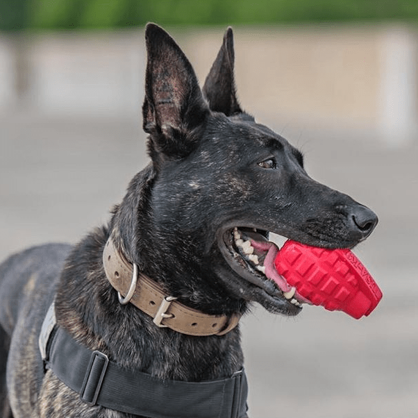 USA-K9 Grenade Shaped eDispenser Durable Dog Chew Toy &amp; Treat Dispenser - Army Green